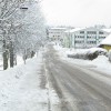 img_0676.jpg