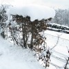img_0681.jpg