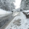 img_0680.jpg