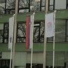 img_2556.jpg