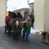 img_3097_000.jpg