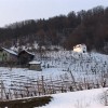 img_2667.jpg