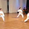dsc02084_38_1_000.jpg