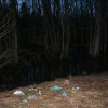 img_3426_000.jpg
