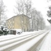 img_0747_000.jpg