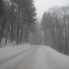 dsc00019_000.jpg