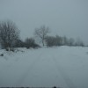 dsc00021_000.jpg