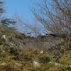 zolnir_069.jpg