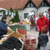 gregorjev_sejem_3_20100172_1.jpg