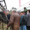 gregorjev_sejem_3_20100224_1.jpg