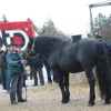gregorjev_sejem_3_20100216_1.jpg