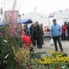 gregorjev_sejem_3_20100201_1.jpg