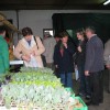 gregorjev_sejem_3_20100192_1.jpg