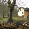 p008.jpg