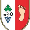grb_obcine_mokronog_trebelno_copy.jpg