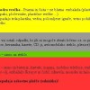 cisitmo_nasl_2.jpg