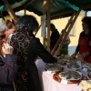 img_4824_000.jpg