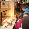 img_4236_000.jpg