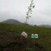 dsc03950_000.jpg