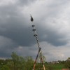 img_0181.jpg