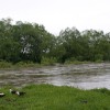 img_0646.jpg