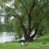 img_0642.jpg