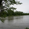 img_0645.jpg