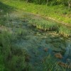 img_8306_000.jpg