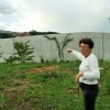 stefanija_colner_je_sama_zasadila_plezalke.jpg