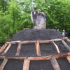 teden_gozdov_prizig_kope_maj_2010_0002.jpg