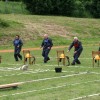 img_2762_000.jpg