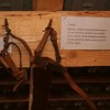 img_5700_000.jpg