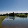 img_1263.jpg