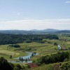 img_1259.jpg