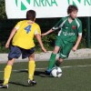 img_3250_1.jpg