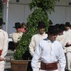 img_8184_1_1.jpg