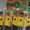 img_1385_000.jpg