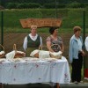 img_1341_000.jpg