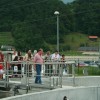 img_1442_000.jpg