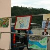 img_1337_000.jpg