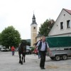 img_7052_000.jpg