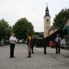 img_7049_000.jpg