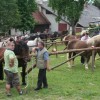 img_7065_000.jpg