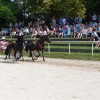 dsc09399_000.jpg