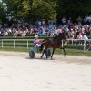 dsc09398_000.jpg