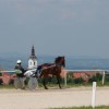 dsc09368_000.jpg
