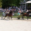 dsc09394_000.jpg