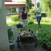 img_0038_000.jpg