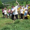 img_0139_000.jpg