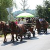 img_7375_000.jpg